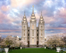 Load image into Gallery viewer, Salt Lake a Glimpse of Heaven
