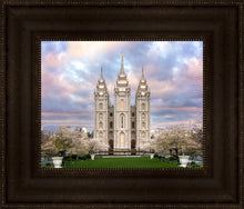 Load image into Gallery viewer, Salt Lake a Glimpse of Heaven
