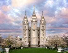 Load image into Gallery viewer, Salt Lake a Glimpse of Heaven
