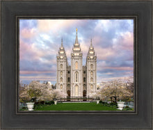 Load image into Gallery viewer, Salt Lake a Glimpse of Heaven
