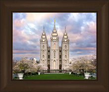 Load image into Gallery viewer, Salt Lake a Glimpse of Heaven
