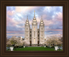 Load image into Gallery viewer, Salt Lake a Glimpse of Heaven
