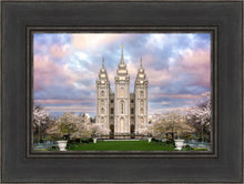 Load image into Gallery viewer, Salt Lake a Glimpse of Heaven

