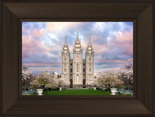 Load image into Gallery viewer, Salt Lake a Glimpse of Heaven
