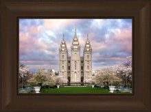 Load image into Gallery viewer, Salt Lake a Glimpse of Heaven
