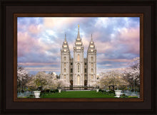 Load image into Gallery viewer, Salt Lake a Glimpse of Heaven
