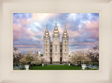 Load image into Gallery viewer, Salt Lake a Glimpse of Heaven

