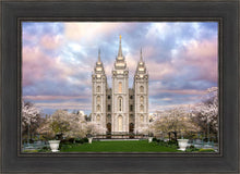 Load image into Gallery viewer, Salt Lake a Glimpse of Heaven
