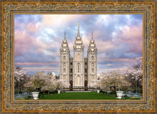 Load image into Gallery viewer, Salt Lake a Glimpse of Heaven
