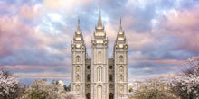 Load image into Gallery viewer, Salt Lake a Glimpse of Heaven
