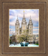 Load image into Gallery viewer, Salt Lake Temple Spring Fountain
