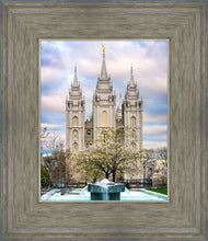 Load image into Gallery viewer, Salt Lake Temple Spring Fountain
