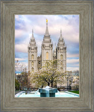Load image into Gallery viewer, Salt Lake Temple Spring Fountain
