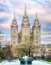 Load image into Gallery viewer, Salt Lake Temple Spring Fountain
