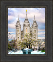 Load image into Gallery viewer, Salt Lake Temple Spring Fountain
