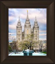 Load image into Gallery viewer, Salt Lake Temple Spring Fountain

