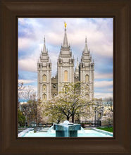 Load image into Gallery viewer, Salt Lake Temple Spring Fountain
