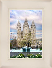 Load image into Gallery viewer, Salt Lake Temple Spring Fountain
