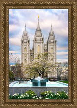 Load image into Gallery viewer, Salt Lake Temple Spring Fountain
