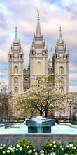 Load image into Gallery viewer, Salt Lake Temple Spring Fountain
