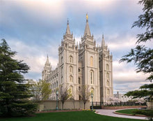 Load image into Gallery viewer, Salt Lake Temple Spring Serenity
