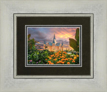 Load image into Gallery viewer, Provo City Center Temple Orange Flowers
