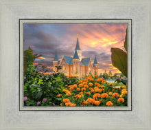 Load image into Gallery viewer, Provo City Center Temple Orange Flowers
