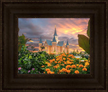 Load image into Gallery viewer, Provo City Center Temple Orange Flowers
