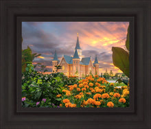 Load image into Gallery viewer, Provo City Center Temple Orange Flowers
