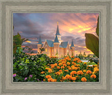 Load image into Gallery viewer, Provo City Center Temple Orange Flowers
