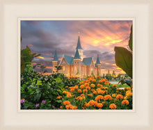 Load image into Gallery viewer, Provo City Center Temple Orange Flowers
