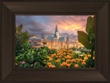 Load image into Gallery viewer, Provo City Center Temple Orange Flowers
