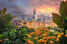 Load image into Gallery viewer, Provo City Center Temple Orange Flowers
