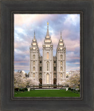 Load image into Gallery viewer, Salt Lake a Glimpse of Heaven
