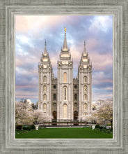 Load image into Gallery viewer, Salt Lake a Glimpse of Heaven
