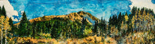 Load image into Gallery viewer, Mountain Meadow
