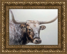 Load image into Gallery viewer, Longhorn
