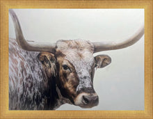 Load image into Gallery viewer, Longhorn
