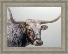 Load image into Gallery viewer, Longhorn
