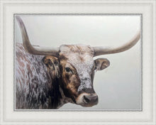 Load image into Gallery viewer, Longhorn
