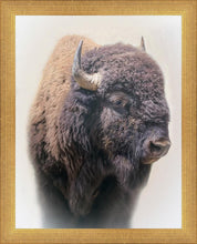 Load image into Gallery viewer, Bison

