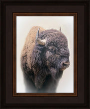 Load image into Gallery viewer, Bison
