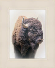 Load image into Gallery viewer, Bison

