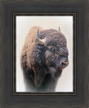 Load image into Gallery viewer, Bison
