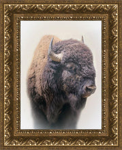 Load image into Gallery viewer, Bison

