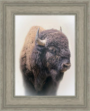 Load image into Gallery viewer, Bison
