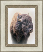 Load image into Gallery viewer, Bison
