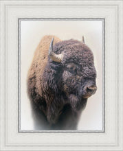 Load image into Gallery viewer, Bison
