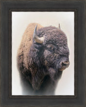 Load image into Gallery viewer, Bison
