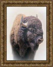 Load image into Gallery viewer, Bison

